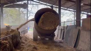 TEAGLE TOMAHAWK 5050 STRAW SHREDDER [upl. by Asoramla]