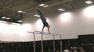 Michael Scheiner  Parallel Bars  2024 Elite Team Cup [upl. by Nosirrah]