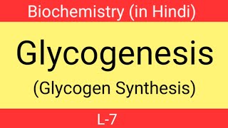 Glycogenesis in hindi  Biochemistry 2nd sem  Glycogen synthesis  b pharmacy  mbbs biochemistry [upl. by Xenophon315]