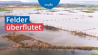 Hochwasser in MönchpfiffelNikolausrieth Noch keine Entwarnung  MDR THÜRINGEN JOURNAL  MDR [upl. by Nunci]