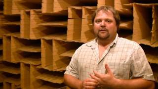 The Anechoic Chamber at Paradigm Acoustics [upl. by Nibroc607]