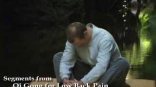 Qi Gong for Low Back Pain with Lee Holden [upl. by Nnep]