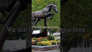 hickstead the greatest horse that ever lived [upl. by Karlyn]