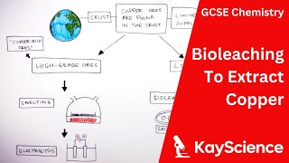 Using Bioleaching To Extract Copper  GCSE Chemistry  kaysciencecom [upl. by Ventura637]