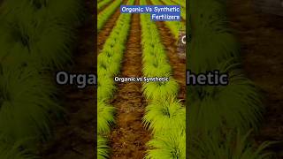 Organic Fertilizers Vs Synthetic Fertilizers  Farm Modernization  Sustainable Agriculture viral [upl. by Ahseenyt]