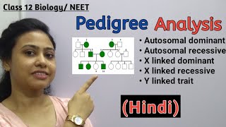 Pedigree Analysis Hindi  Autosomal dominant recessive  X linked dominant recessive 12 Biology [upl. by Netty]