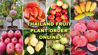 Thailand Fruit Plant Order Online Black Diamond Guava All Thailand Verity Nursery Thai Apple ber [upl. by Retsila]