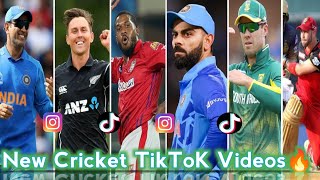 💥 New cricket attitude 🔥 tiktok video 💪 best instagram attitude 💥 reels 🔥cricketreels  Video3 [upl. by Bellanca]