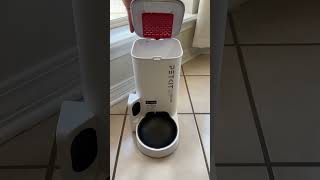 PETKIT Automatic Pet Feeder with HD Camera The GameChanger for Busy Pet Owners [upl. by Tommy]