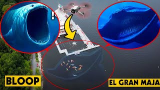 GONE WRONG DRONE CATCHES EL GRAN MAJA amp BLOOP IN REAL LIFE  BLOOP ATE MY DRONE [upl. by Nahtal692]