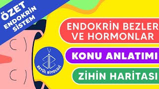 Endokrin Sistem Özet Tekrar  Endokrin Bezler ve Hormonlar  11 Sınıf Biyoloji  AYT Biyoloji [upl. by Daney]