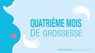 Quatrième mois de grossesse  Mois 4 de grossesse  La grossesse mois par mois [upl. by Winona]