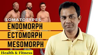 Somatotypes Endomorph Ectomorph and Mesomorph [upl. by Fanchette]