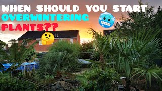 ITS GETTING COLD 🥶WHEN Should you Start PROTECTING and OVERWINTERING your TROPICAL Plants  🤔 UK [upl. by Khai]