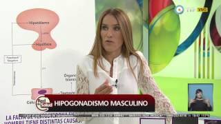 Red de salud  Hipogonadismo masculino  210715 [upl. by Eliga]