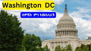 ethiopia  አሜሪካ  ዋሽንግተን ዲሲ በምሽት washington dcnewethiopianmusic 2024ebs ebs [upl. by Pallaten990]