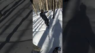 Tree Surfing snowboarding surfing forest trees [upl. by Skell268]