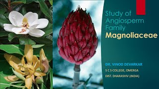 Study of Family Magnoliaceae by Dr V D Devarkar [upl. by Shifra1]