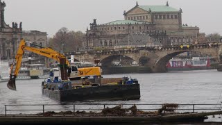 Dresden Carolabrücke kurz amp direkt  15112024  Teil 1 Ausbaggern der Elbe  Tag 2 [upl. by Wellesley734]