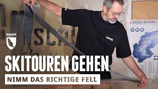 Tourengehen die richtigen Felle auswählen [upl. by Vernon]