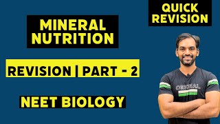 Mineral Nutrition class 11  Quick Revision  Target 360 Biology [upl. by Livvi753]