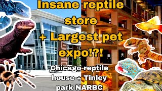 LARGEST PET EXPO  INSANE PET STORE TOUR Tinley Park NARBC pt 2 and Chicago Reptile House [upl. by Yeldar]