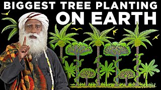 Sadhgurus Plan to plant 242 BILLION trees [upl. by Isolda]