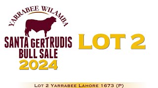 Lot 2 Yarrabee Lahore 1673 P [upl. by Akiemehs]