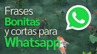 Frases Bonitas y cortas para Whatsapp 2024 4k [upl. by Eidnar]