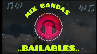 BANDAS ECUATORIANAS BAILABLES MIX 🇪🇨🇪🇨 DJ PUU🎶🎵🎵 [upl. by Ylluz]