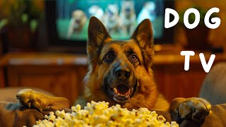 Daytime Television for your Dog TV for your dogs Happy dogs playing and living their best lives [upl. by Grishilde]