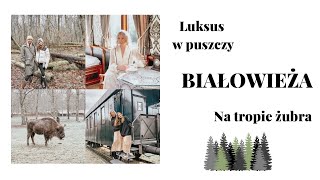 🌟 BIAŁOWIEŻA 🦬🌲 WEEKEND Z BAJKI 🪻CO ZOBACZYC 🌳 GDZIE SPAĆ 🚂 KUCHNIA REGIONALNA 🥟🥮 [upl. by Fabien]