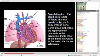 Fetal circulation The Live online class recording AIM MDS [upl. by Enitselec]