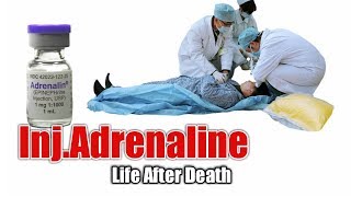 Injection Adrenaline  Emergency Drugs  Action  side effects [upl. by Benjamen]