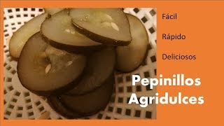 PEPINILLOS AGRIDULCES CÓMO HACER PEPINILLOS EN VINAGRE PEPINO ENCURTIDO [upl. by Tiphane]