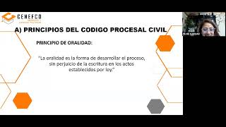 PRINCIPIOS PROCESALES Y ACTIVIDAD PROCESAL DERECHO CIVIL Y SU PROC clase4 09 de septiembre 2024 [upl. by Sheila]