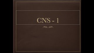 CNS1 [upl. by Eolcin]