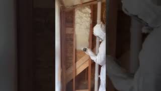 PU Foam Spray  How to Use PU Foam Spray  Multi Purpose PU Foam Insulation Sealant [upl. by Puritan]