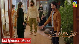 Salar Ko Wadeema Mil Gae  Tare Chhaon Mein Episode 24 Review Danish Taimoor amplaiba khurram [upl. by Elrod]