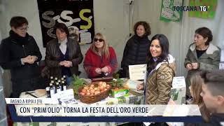 20241115 BAGNO A RIPOLI FI  CON PRIMOLIO TORNA LA FESTA DELLORO VERDE [upl. by Shih]