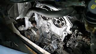 Ford Transit 20 ecoblue timing belt wet belt replacement [upl. by Bret]