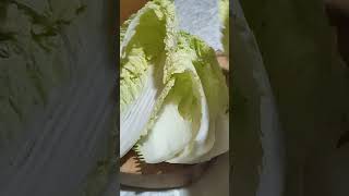 amazingsounds SLICING CHINESE PECHAY FOR STIRFRY slicing satisfying fresh pechay viralvideo [upl. by Raphael]