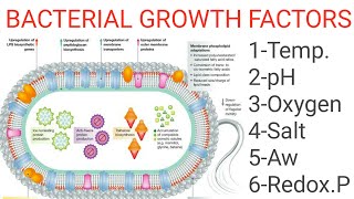 Growth factors of bacteria [upl. by Odracer]