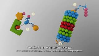 口服ARV7 PROTAC蛋白質降解藥物應用於去勢抗性前列腺癌CRPC [upl. by Chick956]