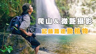 背著相機尋找藏在大山裡的瀑布｜和自然微距攝影師去爬山，記錄一路遇見的動植物。 [upl. by Petr966]