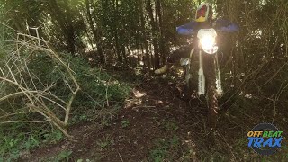 2023 SHERCO 300 AND 2024 KTM 300 EXC HITTING THE FRESH STUFF pt1 [upl. by Averir]