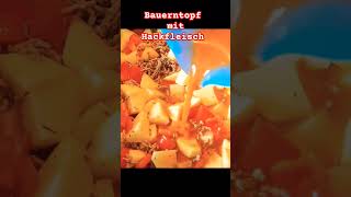 Bauerntopf mit HackfleischSladisKitchen viralvideo food video foryou recipefy viralshorts [upl. by Aicenat]