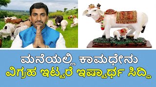 Cow Vastu Kamdhenu statue placement at home  Vijay Karnataka [upl. by Clive]