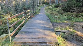 Wanderung auf dem Limeserlebnispfad 22 [upl. by Reinnej]