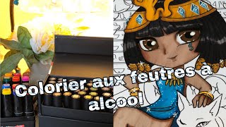 Utiliser les feutres à alcool  Promarker Twinmarker [upl. by Lavine610]